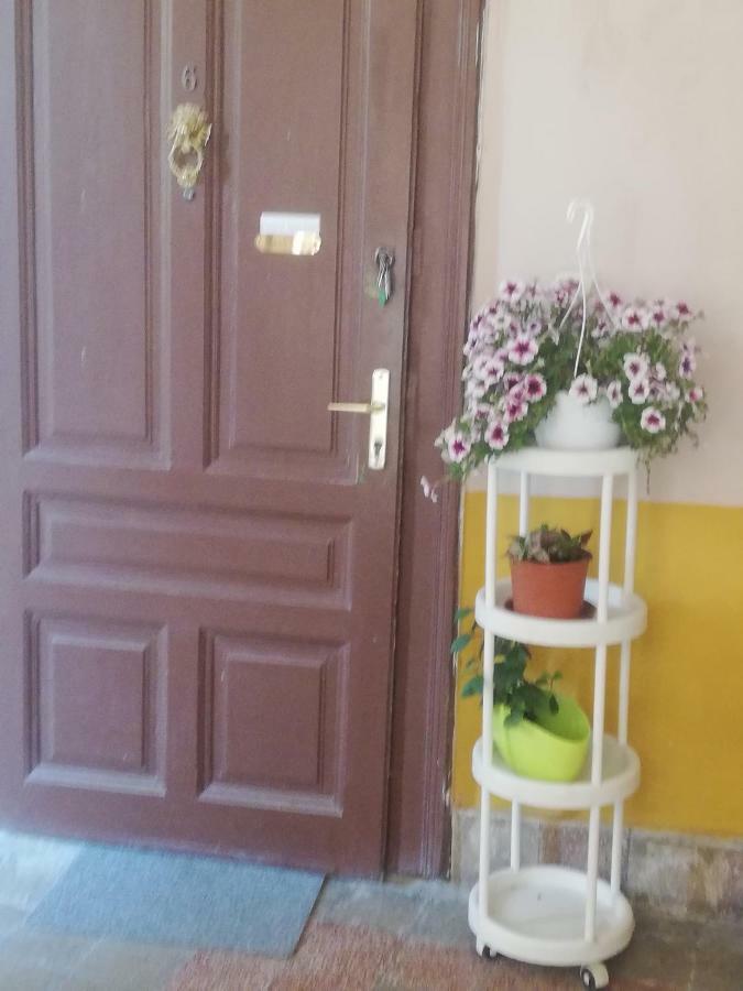 Galéria Apartman Szeged Extérieur photo